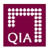 Qatar Investment Authority